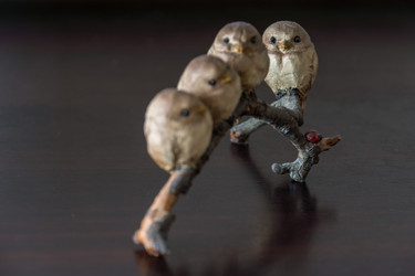 Similar image 11966950