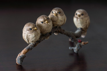 Similar image 11966951