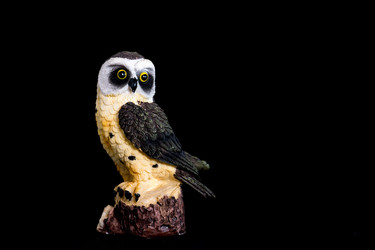 Similar image 11966969