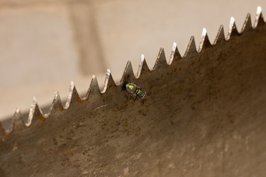 Similar image 11966910