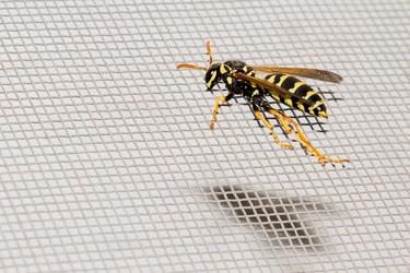 Similar image 11966932