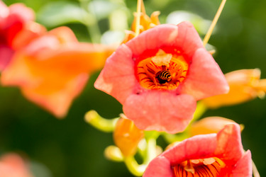 Similar image 11966935