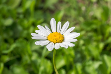 Similar image 11966957