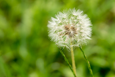 Similar image 11966958