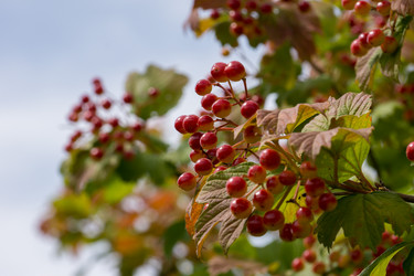 Similar image 11966960