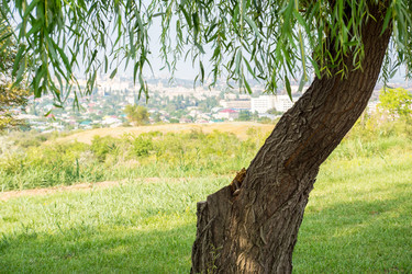 Similar image 11966962