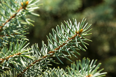 Similar image 11966981