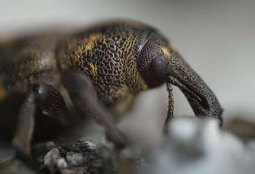 Similar image 11961232