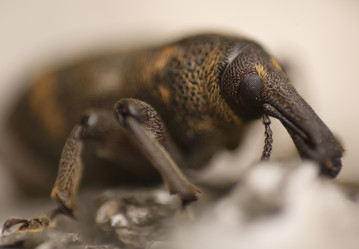 Similar image 11961233