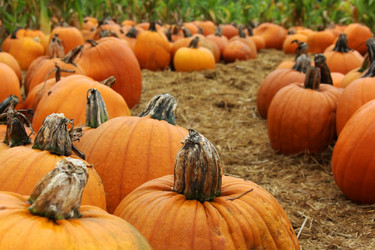 Similar image 11960378