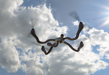 Similar image 11961250