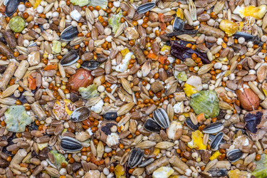 Similar image 11967003