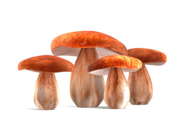 Similar image 11961207