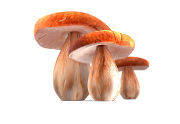 Similar image 11961209