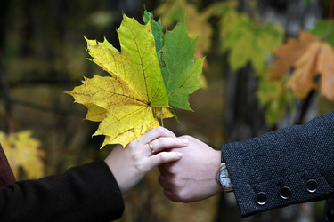 Similar image 11960331