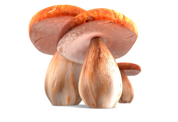 Similar image 11961210