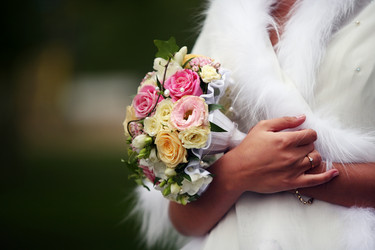 Similar image 11960384