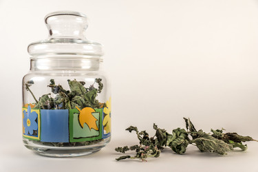 Similar image 12037071