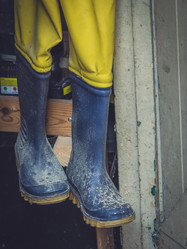 Similar image 11966890