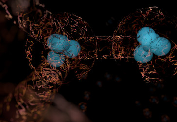 Similar image 11961253