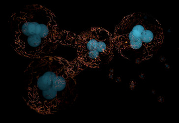 Similar image 11961254