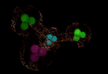 Similar image 11961154