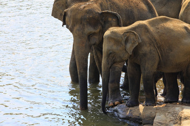 Similar image 11960509