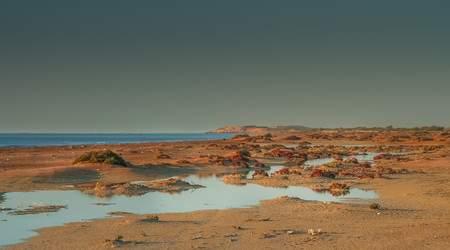 Similar image 12037869