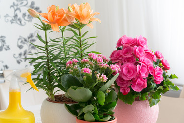 Similar image 11967190