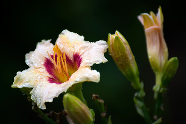 Similar image 11967130