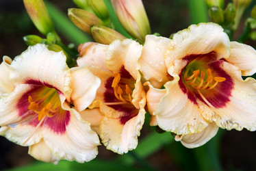 Similar image 11967131