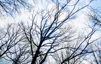 Similar image 11960337