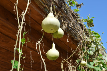 Similar image 11969271