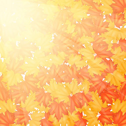 Similar image 11962141