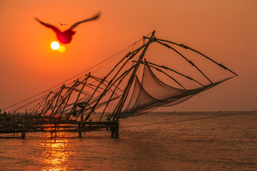 Similar image 12037944