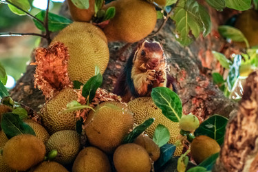 Similar image 12037992