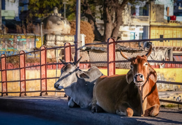 Similar image 12037930