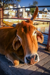 Similar image 12037932