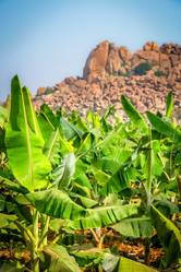 Similar image 12037950