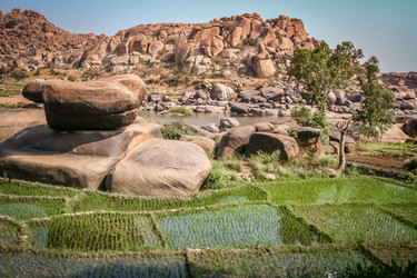 Similar image 12037955