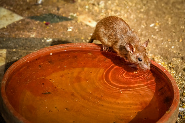 Similar image 12037970