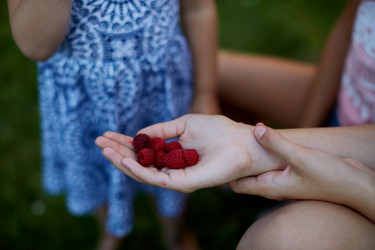 Similar image 12036918