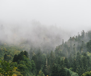 Similar image 11963910