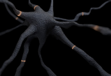 Similar image 11961196