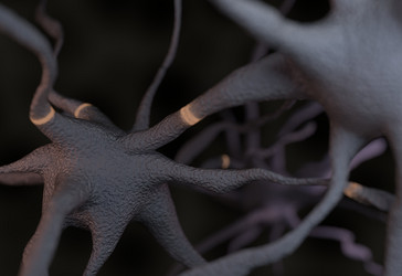 Similar image 11961174