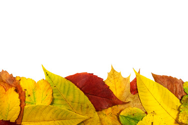 Similar image 11958420