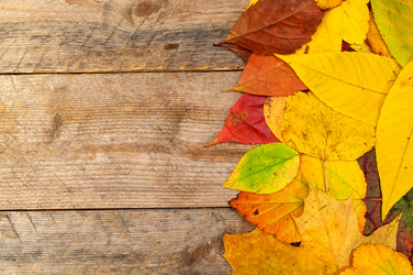 Similar image 11958446