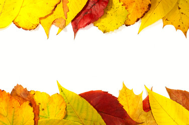 Similar image 11958337