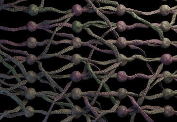 Similar image 11961156