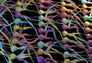 Similar image 11961270